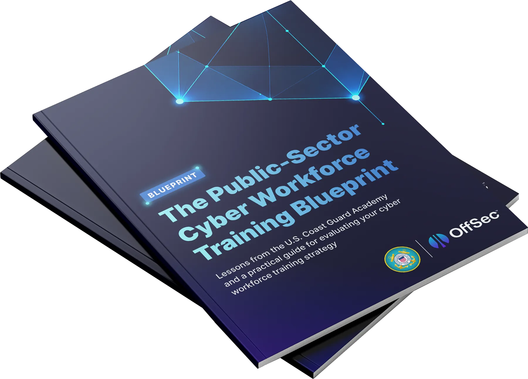 Download The Public Sector Cyber Workforce Training Blueprint