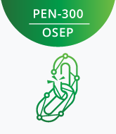 PEN-300 logo