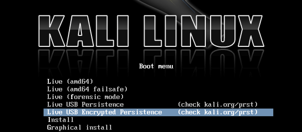 Kali USB Persistence