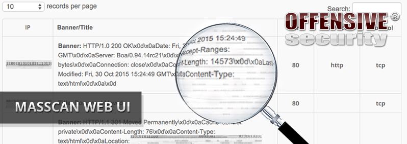 MASSCAN Web Interface