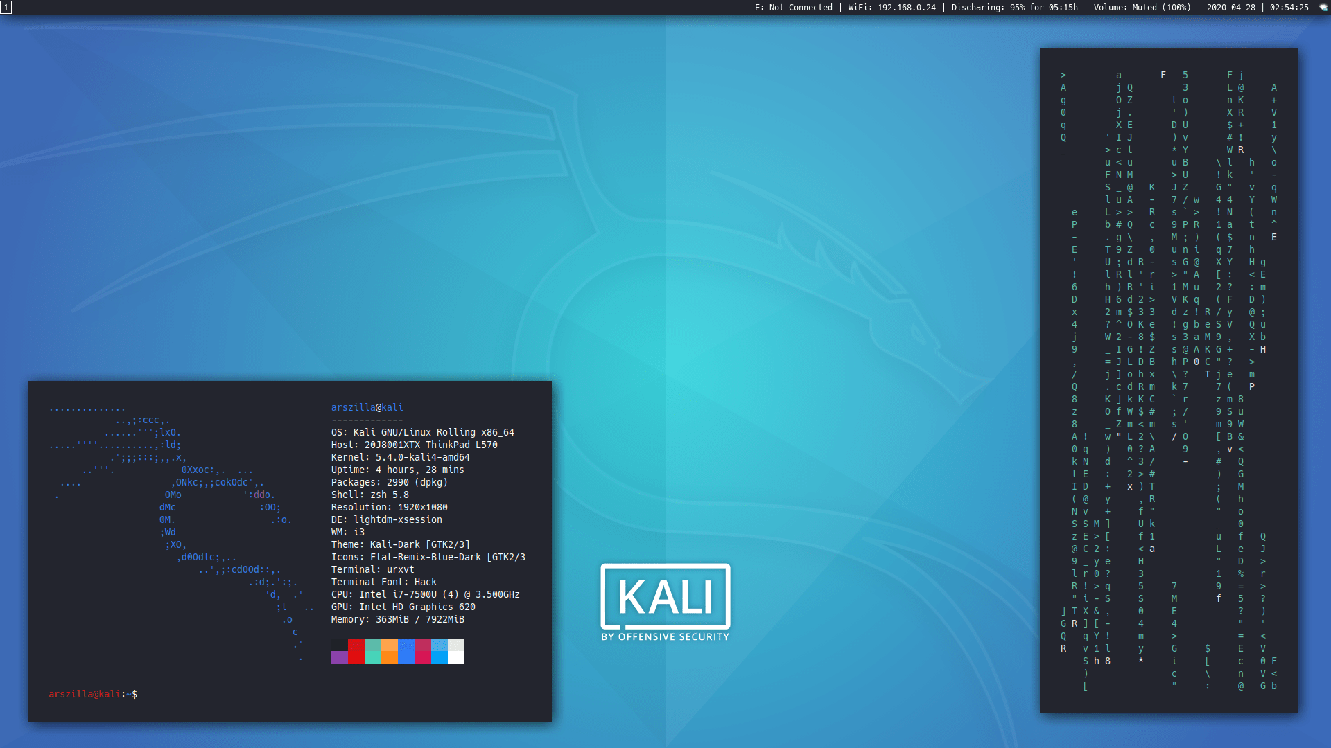 Kali-i3-gaps - An old but an accurate image of the end product